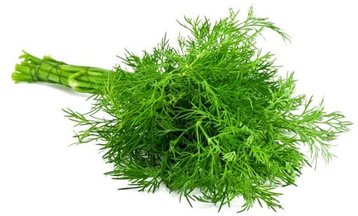 Dill Weed